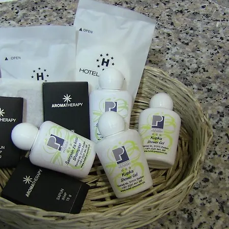 President Garni 兹拉蒂博尔