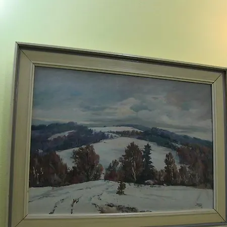 酒店 President Garni