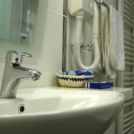 President Garni 兹拉蒂博尔