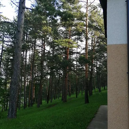 President Garni 兹拉蒂博尔